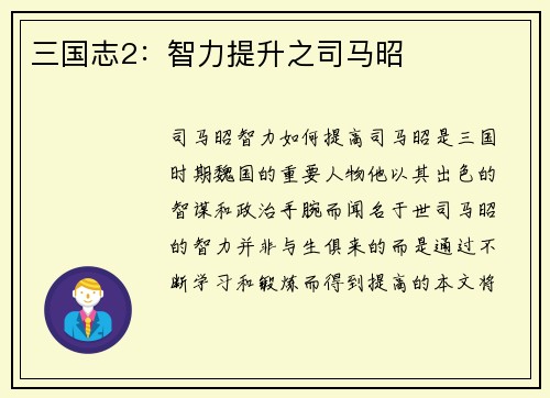 三国志2：智力提升之司马昭