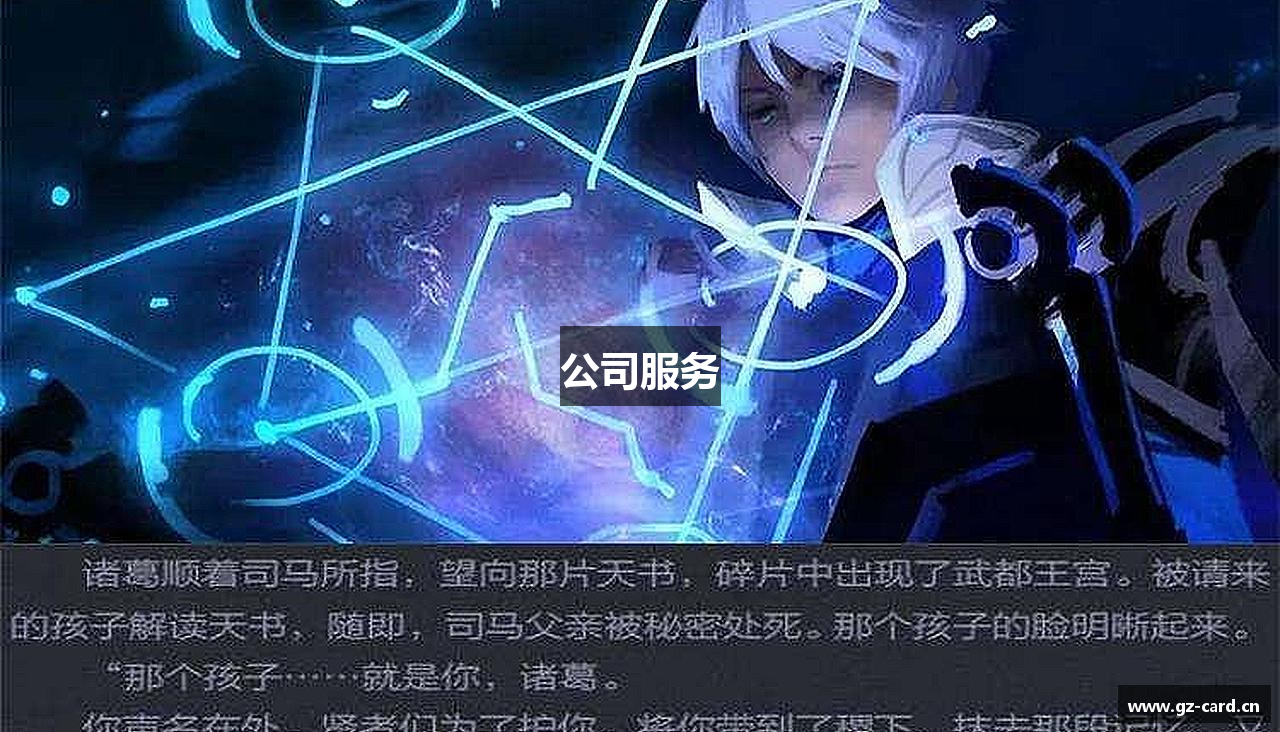 公司服务